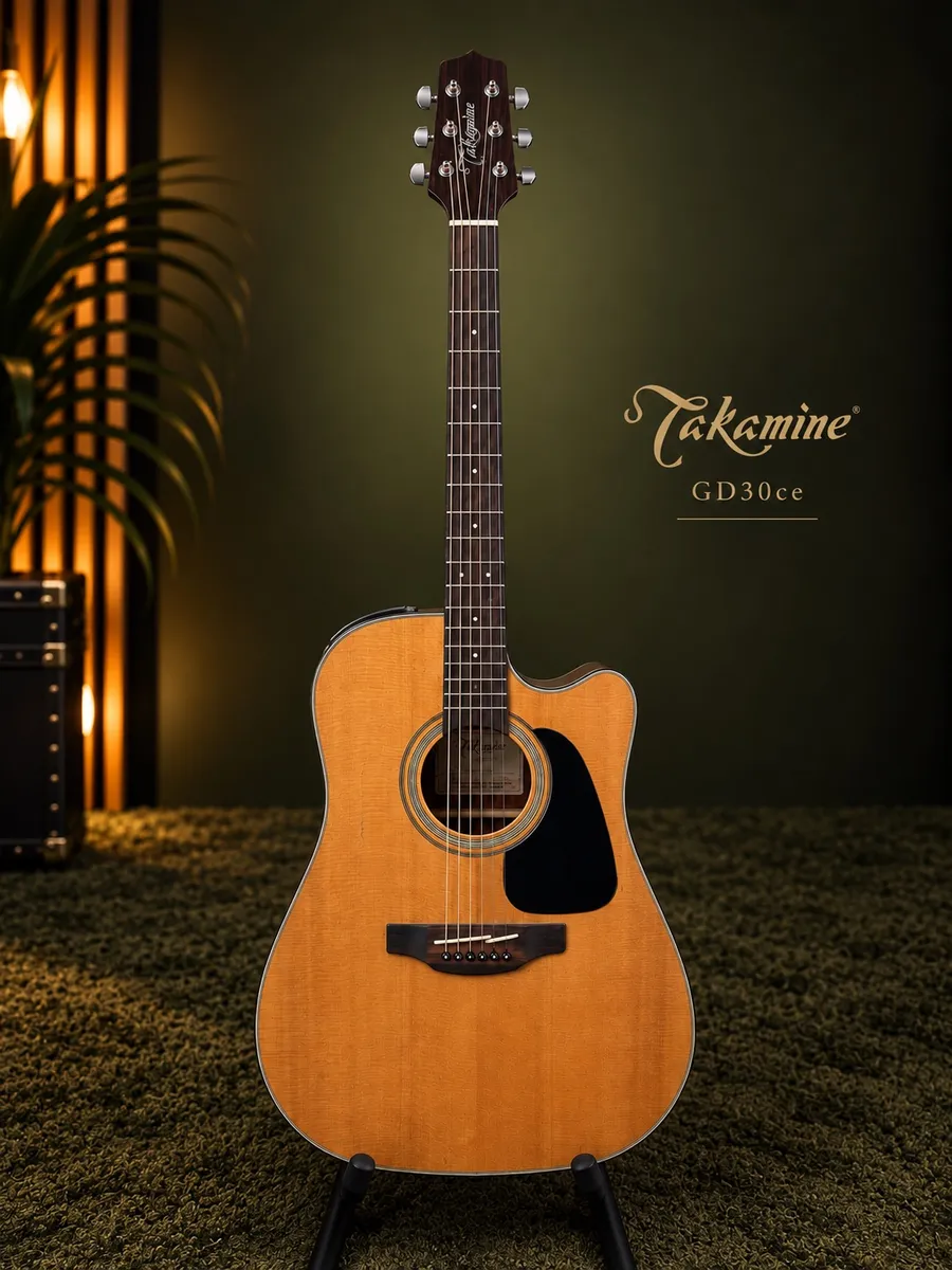 Takamine GD30ce — foto 1 de 6