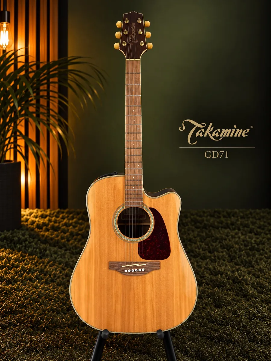 TAKAMINE GD71CE — foto 1 de 7