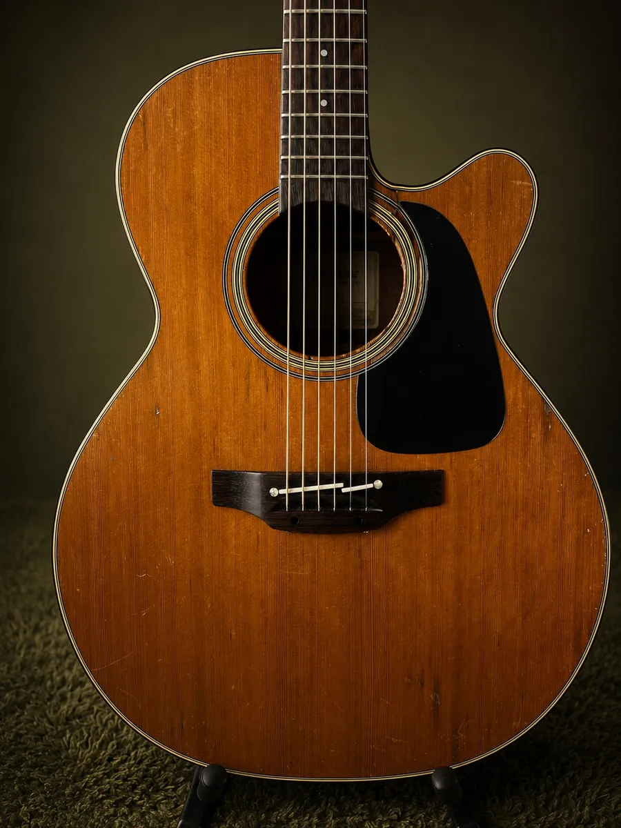 Takamine P1NC — foto 3 de 6