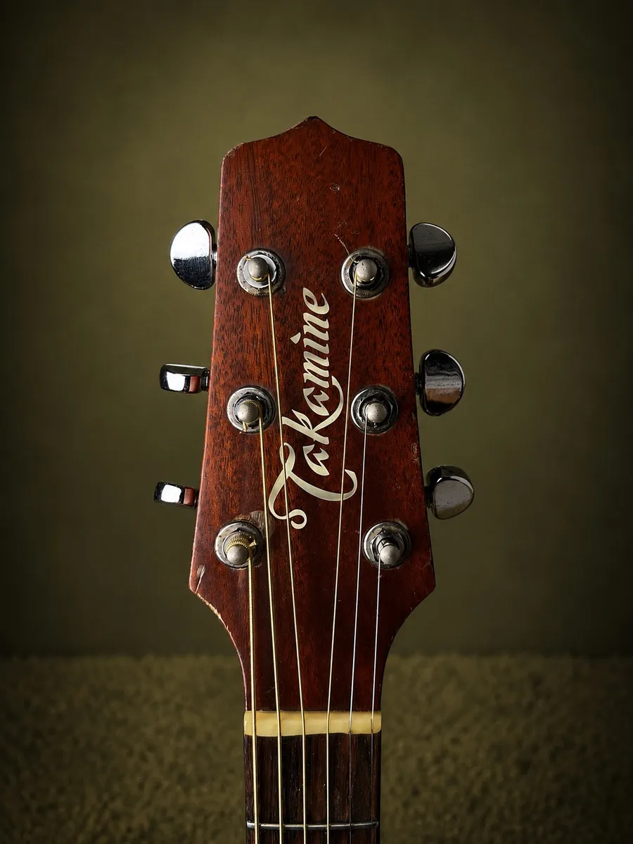 Takamine P1NC — foto 4 de 6