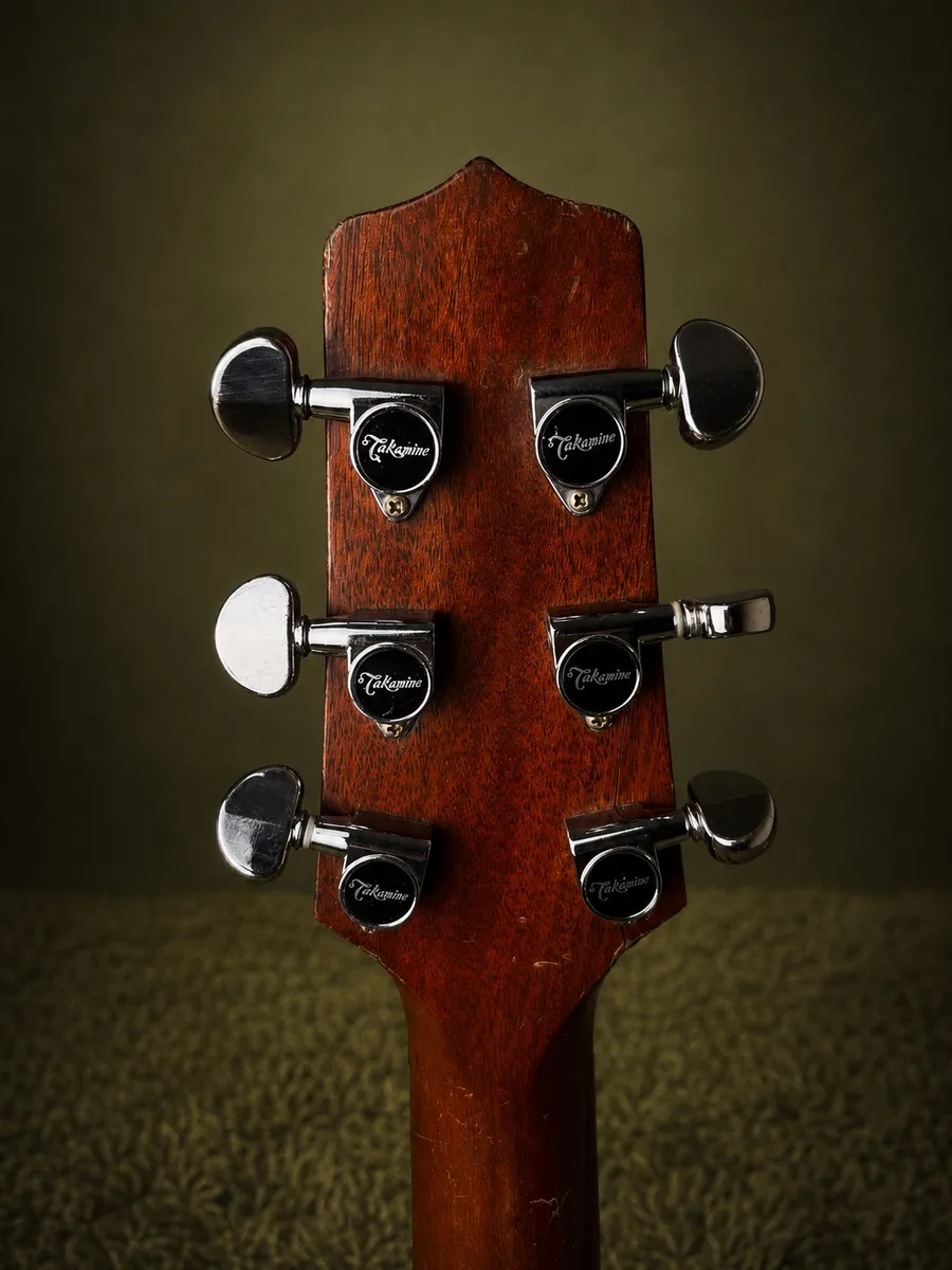 Takamine P1NC — foto 5 de 6