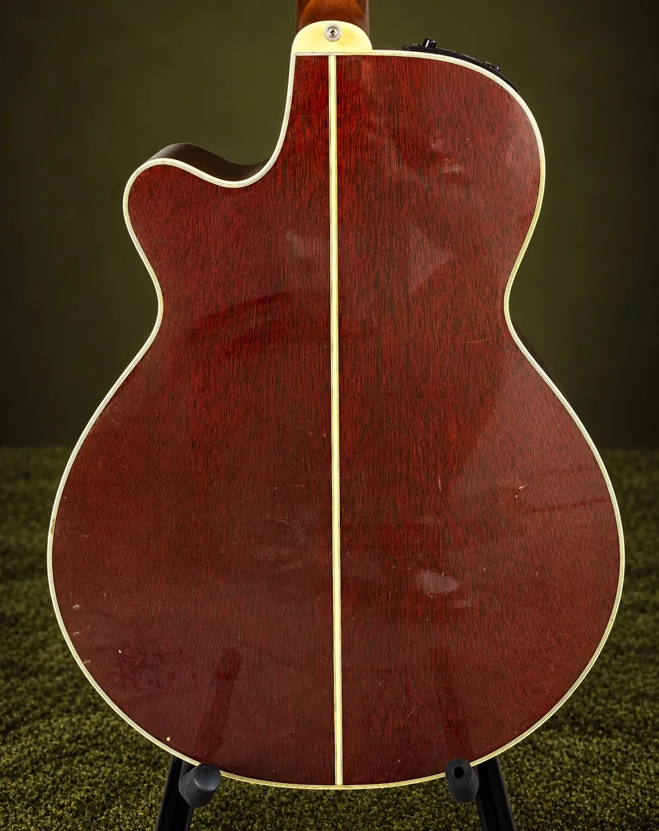 TAKAMINE PT-106 — foto 4 de 7