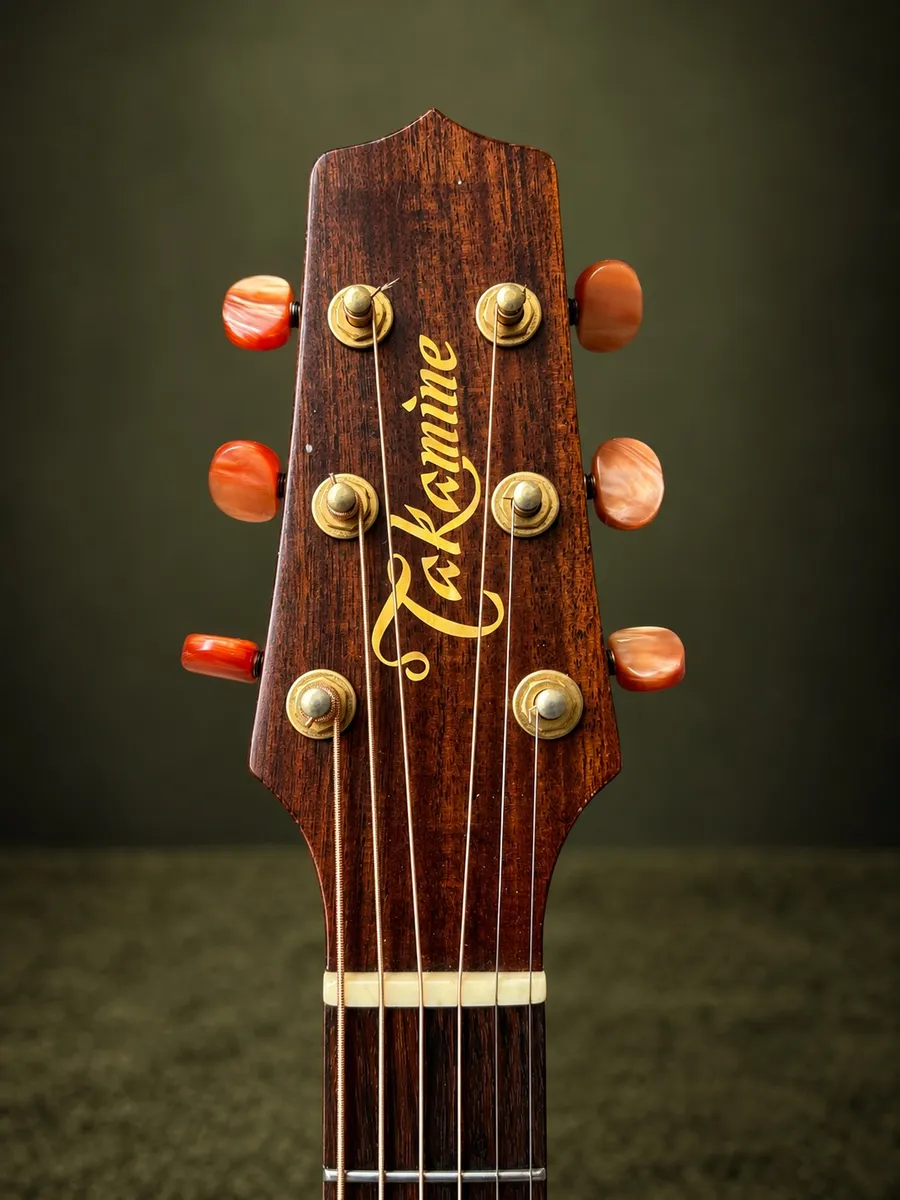 TAKAMINE EAN10C — foto 5 de 8