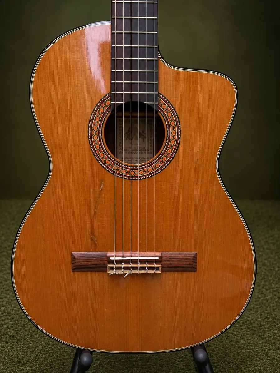TAKAMINE EC132sc — foto 3 de 7