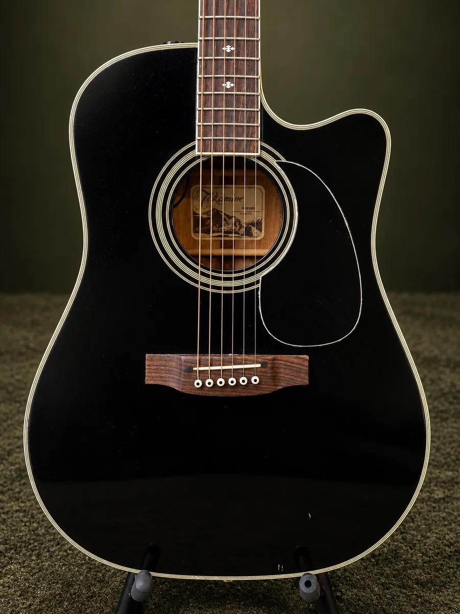 TAKAMINE EF341SC — foto 3 de 7