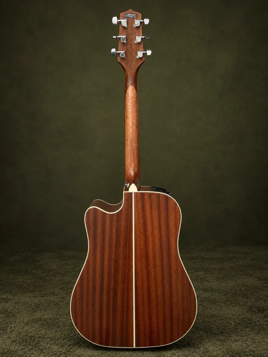 TAKAMINE GD20 — foto 2 de 7