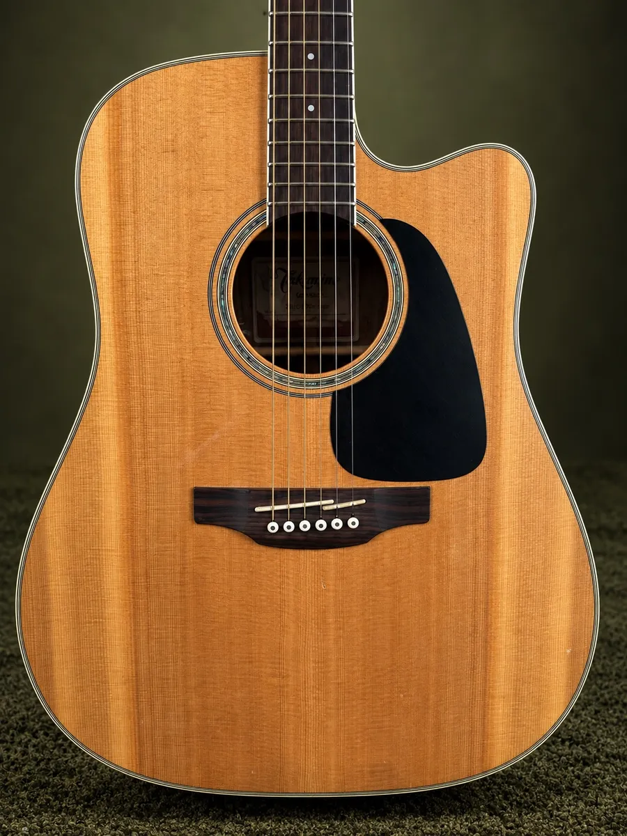 Takamine GD51CE — foto 3 de 8