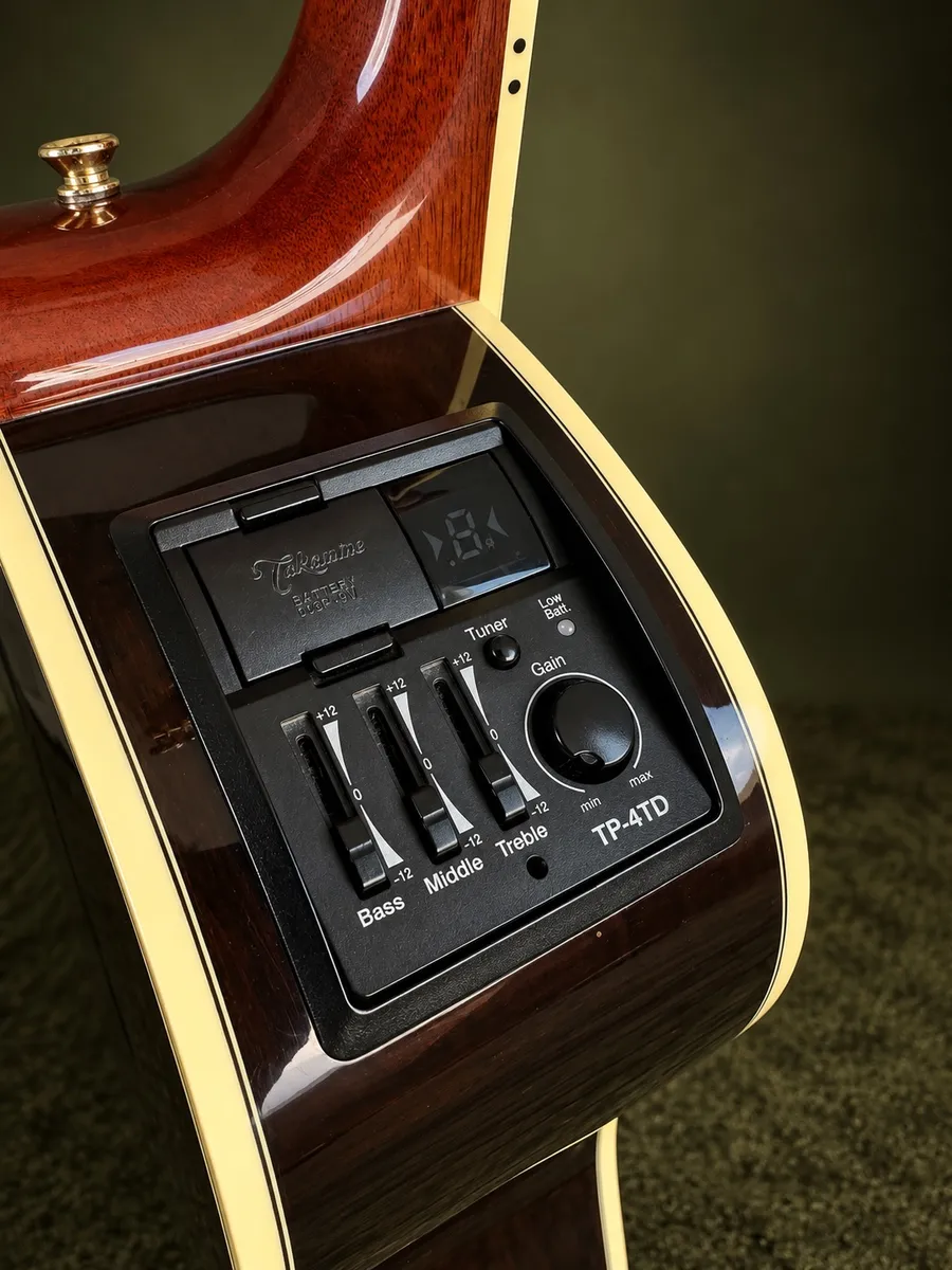 Takamine GD51CE — foto 8 de 8
