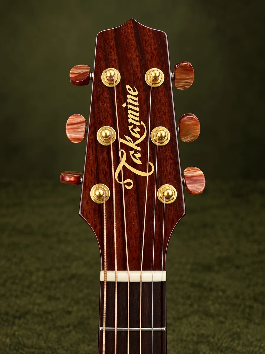 TAKAMINE SANTA FÉ  TSF40C — foto 5 de 7