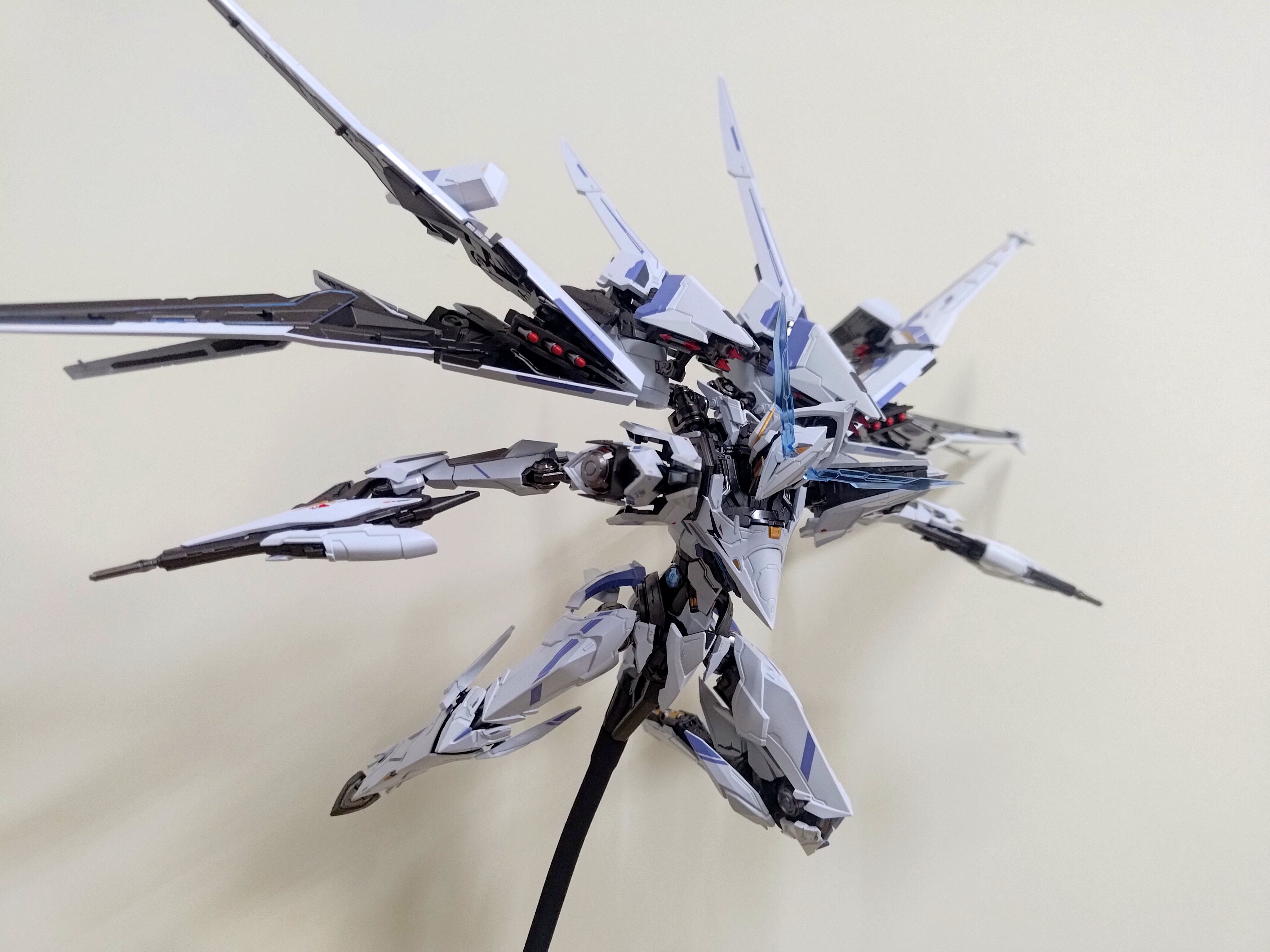 孤鵝