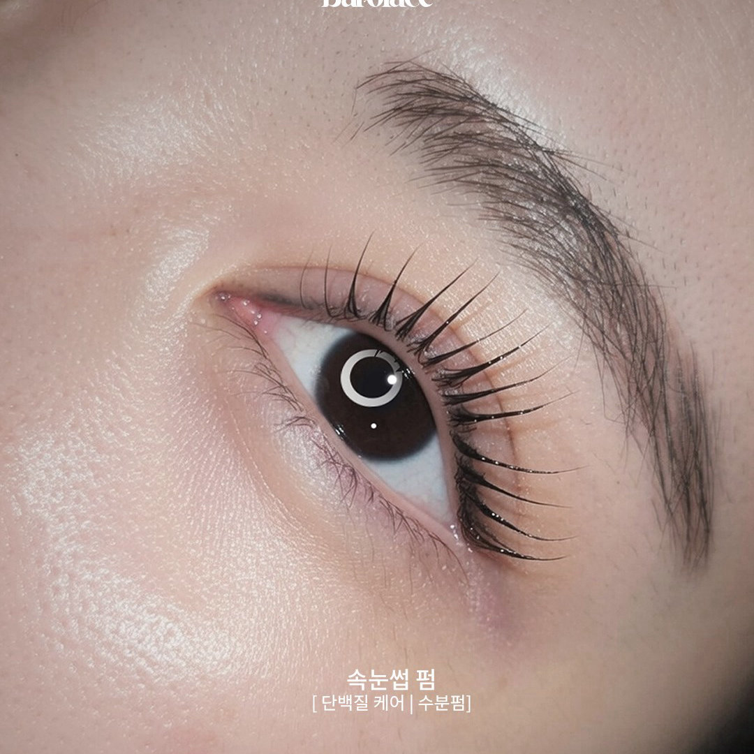 [부산 서면] 속눈썹펌 모델 구합니다 이미지