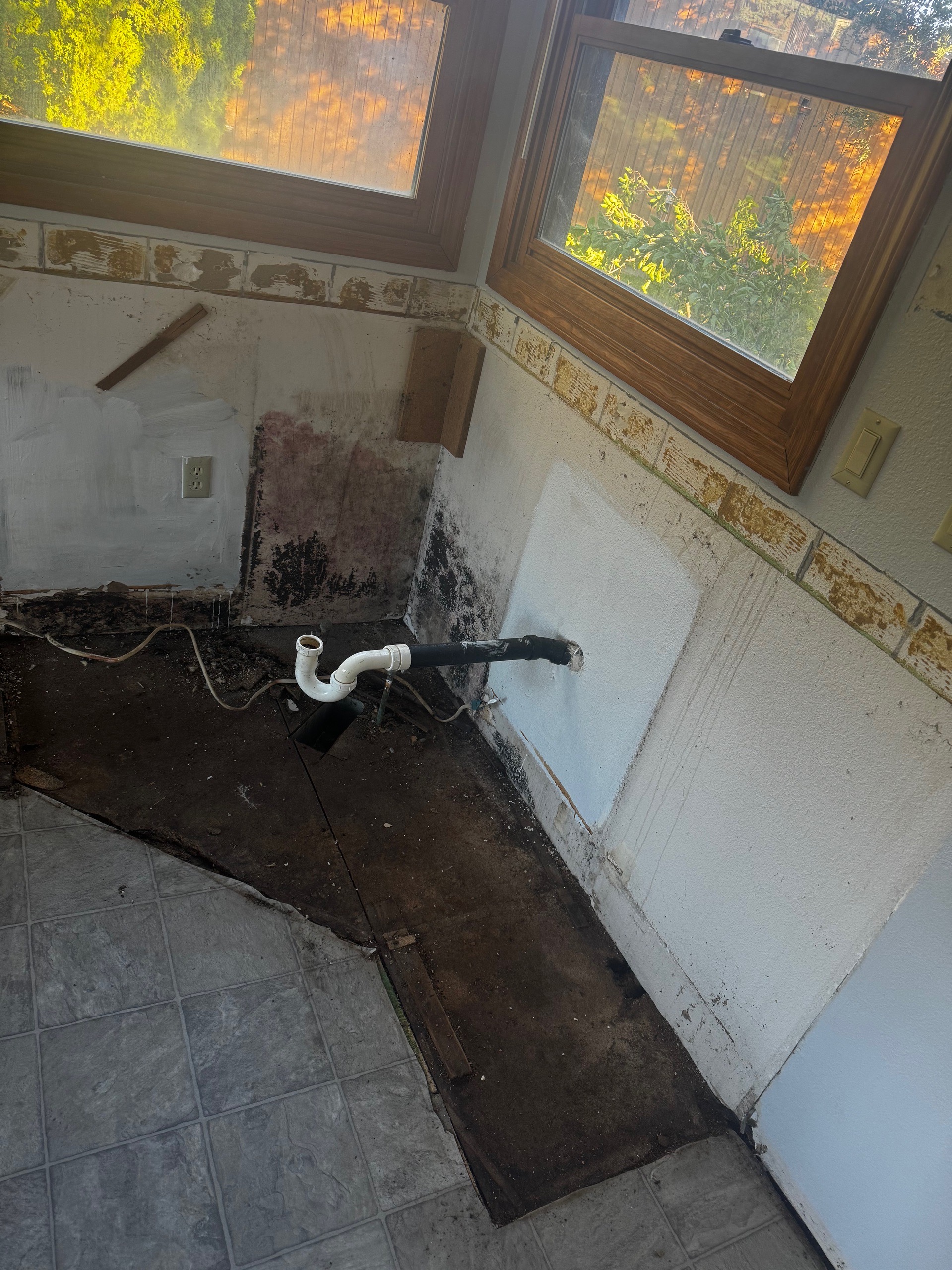 A close-up of black mold spots growing on a white drywall surface.