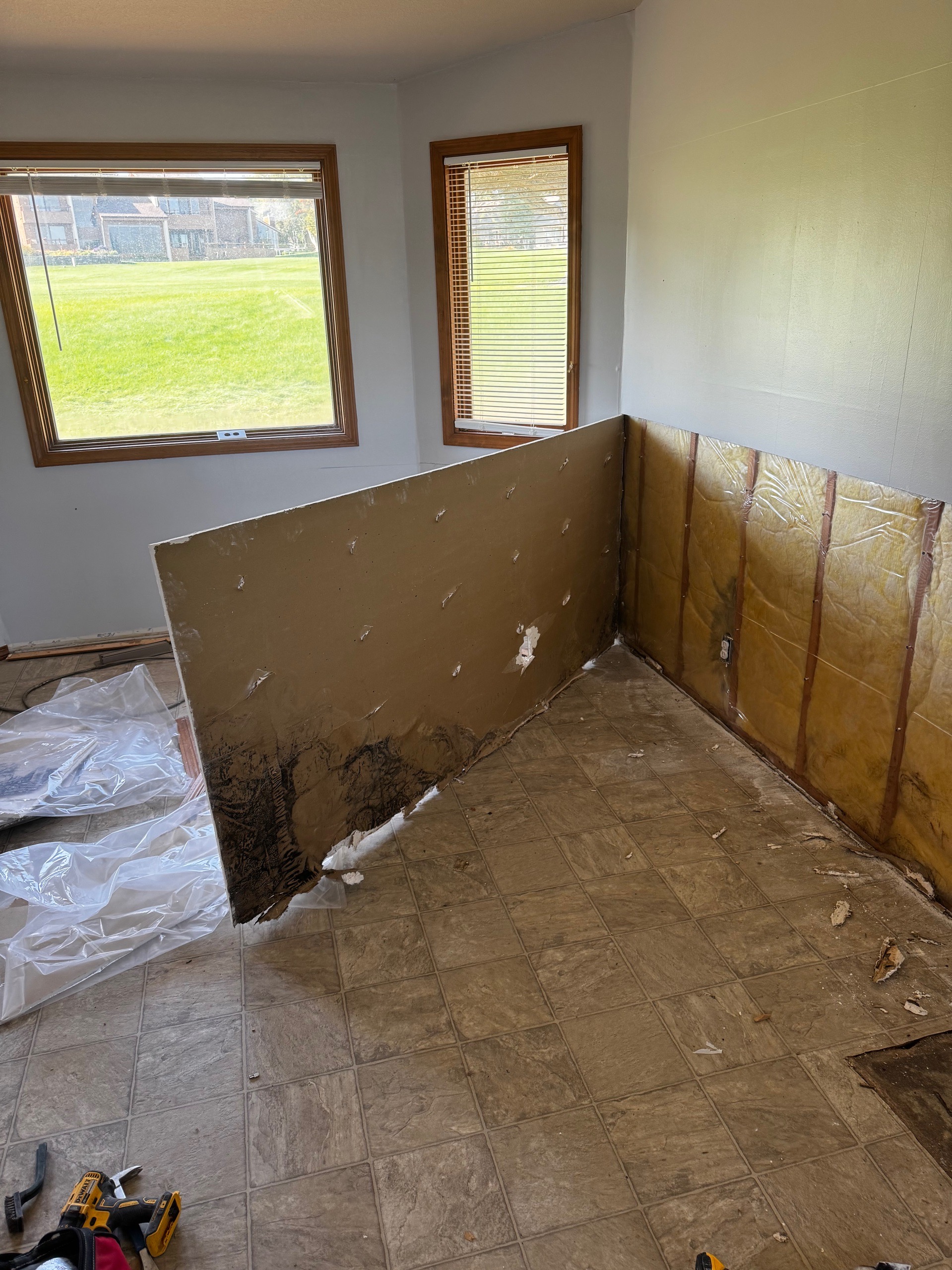 Black Mold on the backside of drywall between a wall and the drywall.