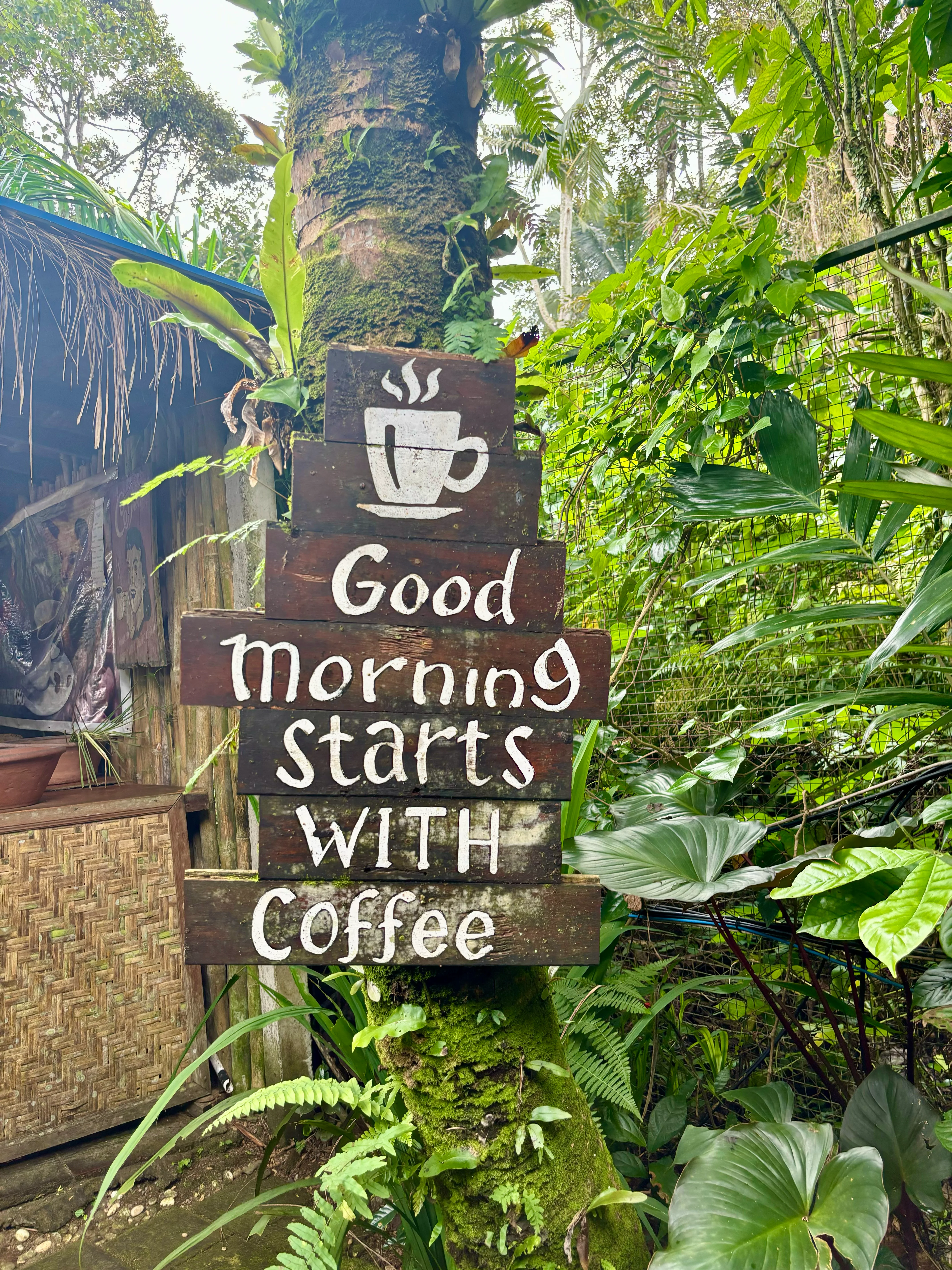 Segara Windhu Coffee Plantation — photo 2