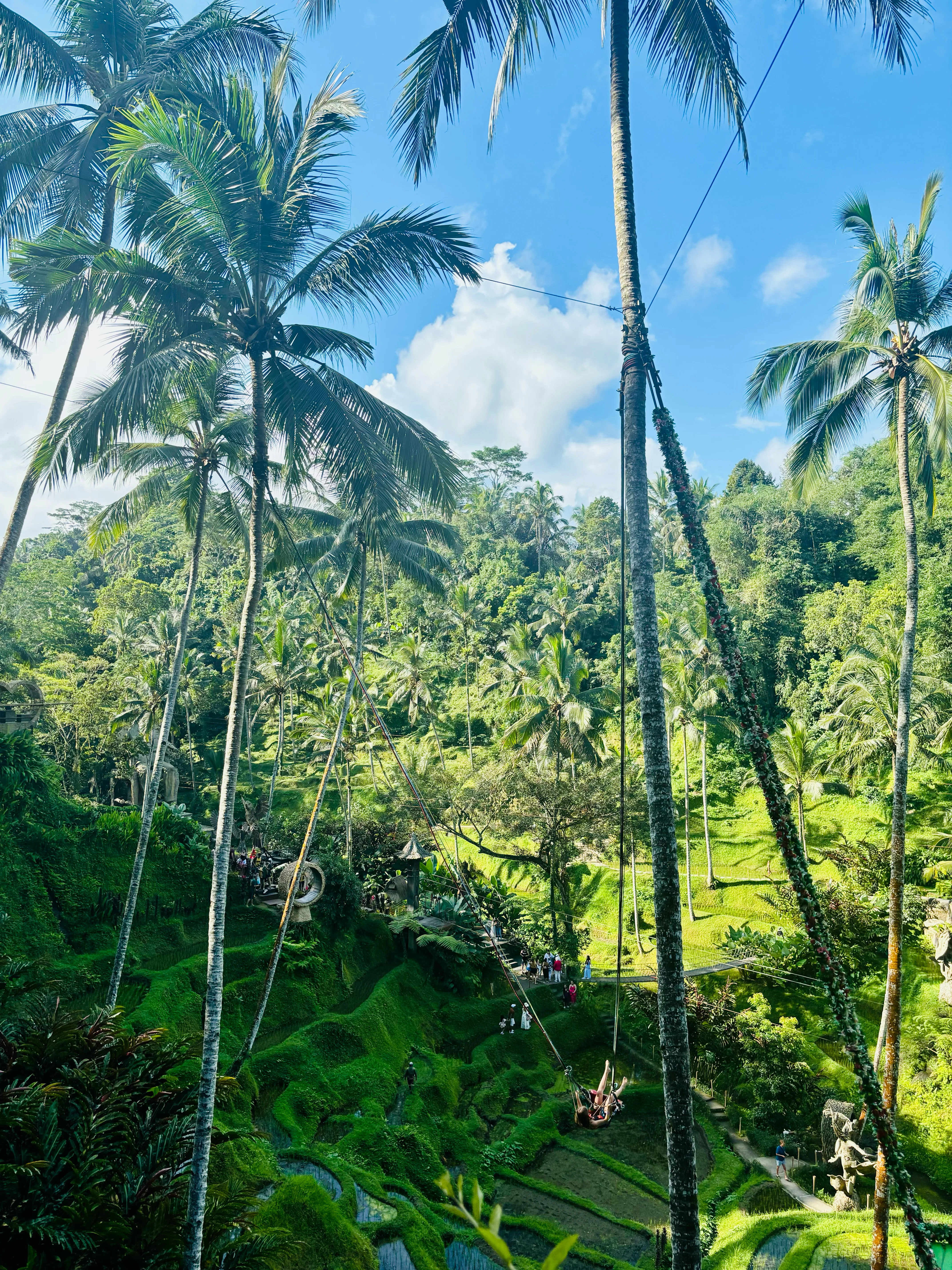Tegalalang Rice Terrace — photo 1
