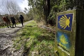 Sun-scorched Andalusia road, dusty pilgrimage, challenging journey, harsh beauty, Camino de Sevilla.