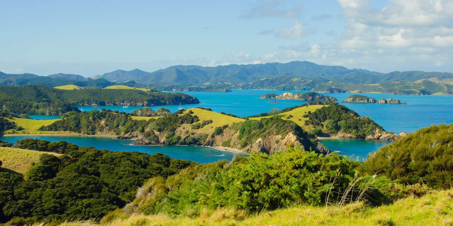 Misty emerald hills, remote coastal road, adventurous North Island journey.