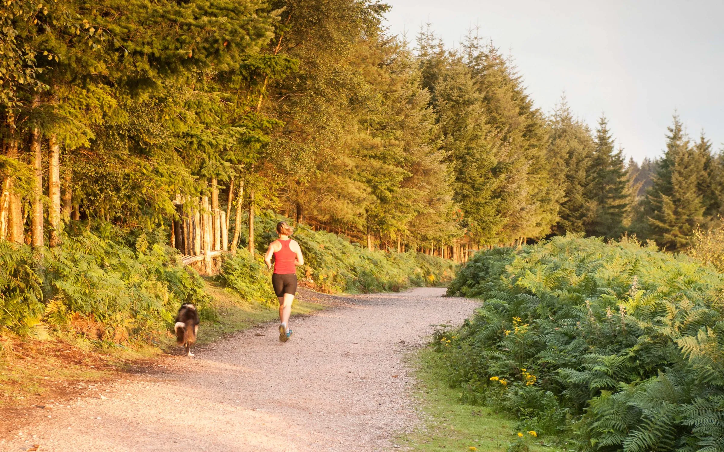 Unveiling York's Best Sports and Training Facilities | MomVoyage