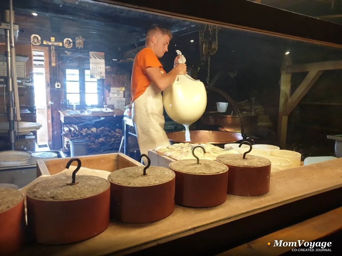 Fribourg's Culinary Gem: The Moléson Cheese Tart | MomVoyage