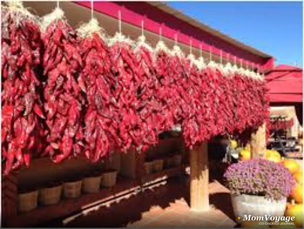 Santa Fe's Soul: The True Taste of Red Chile Stew | MomVoyage