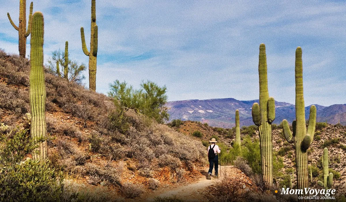 Phoenix to Orlando Coastal Journey: Sun-Kissed Adventures | MomVoyage