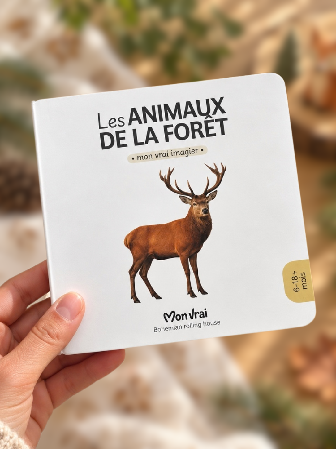 Les Animaux de la forêt