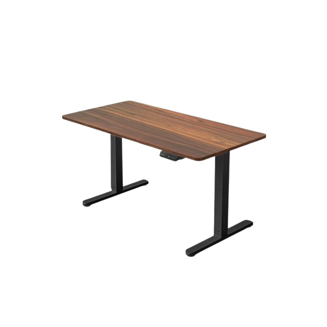 Electric Adjustable Desk