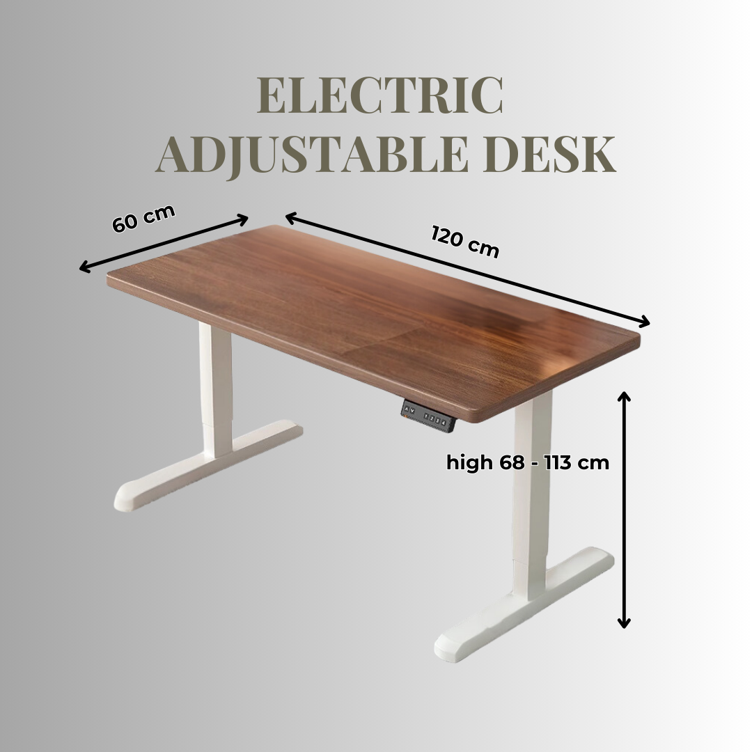 Electric Adjustable Desk
