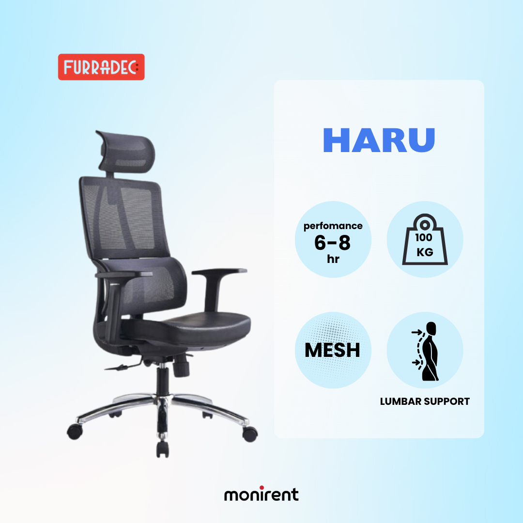 FURRADEC Ergonomic chair HARU