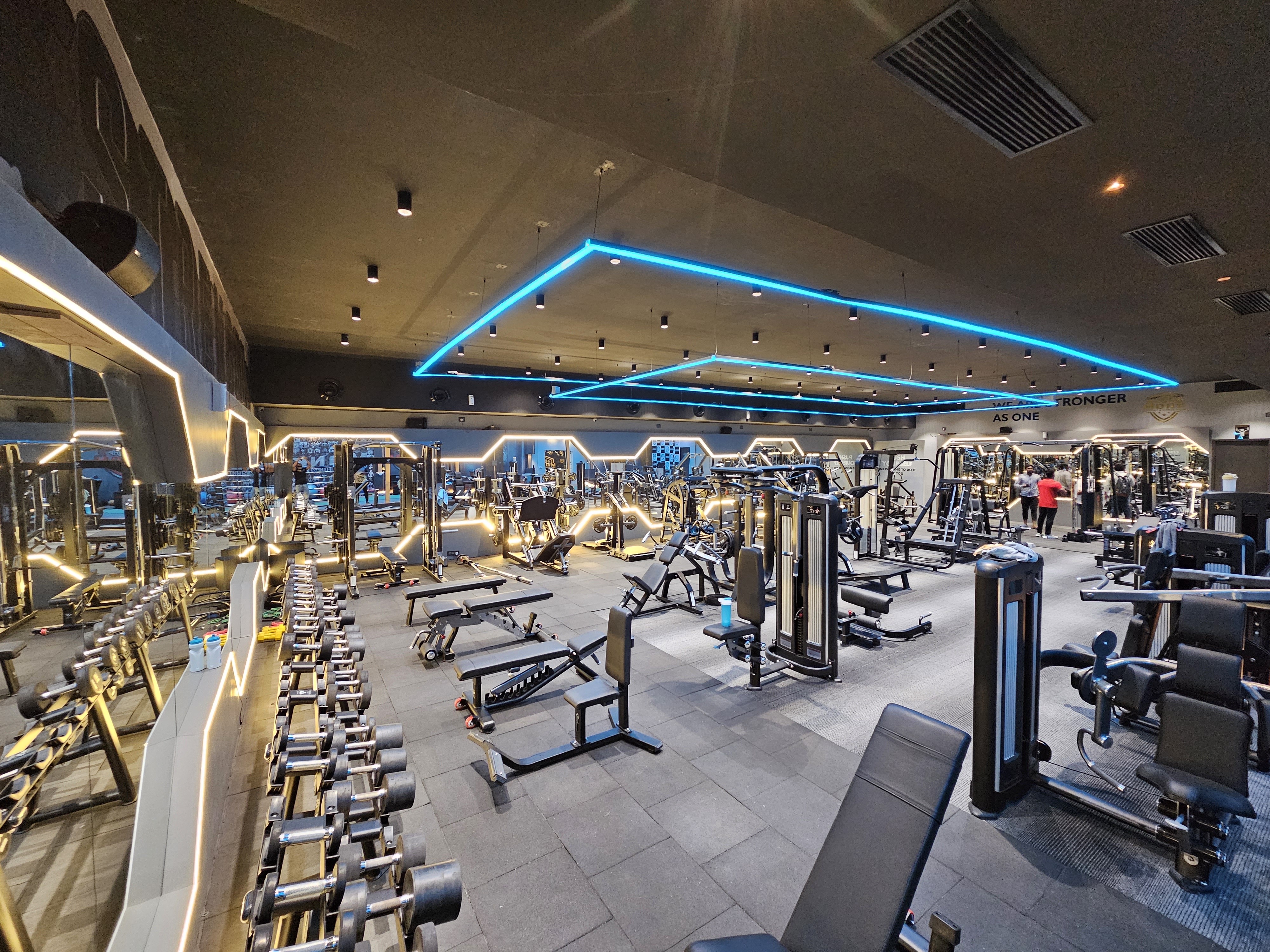 Biomechanical Dumbbell Rack