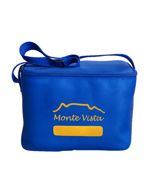 Large Lunch Cooler