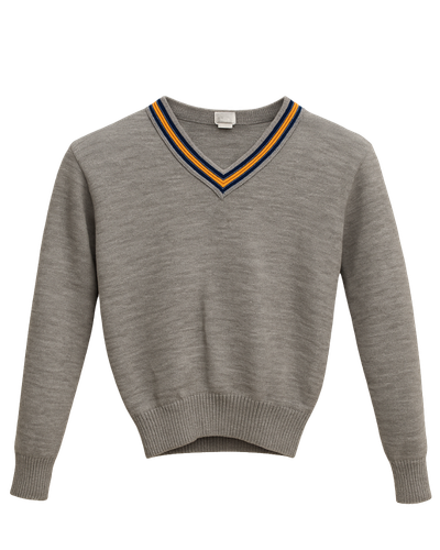 V-Neck School Jersey