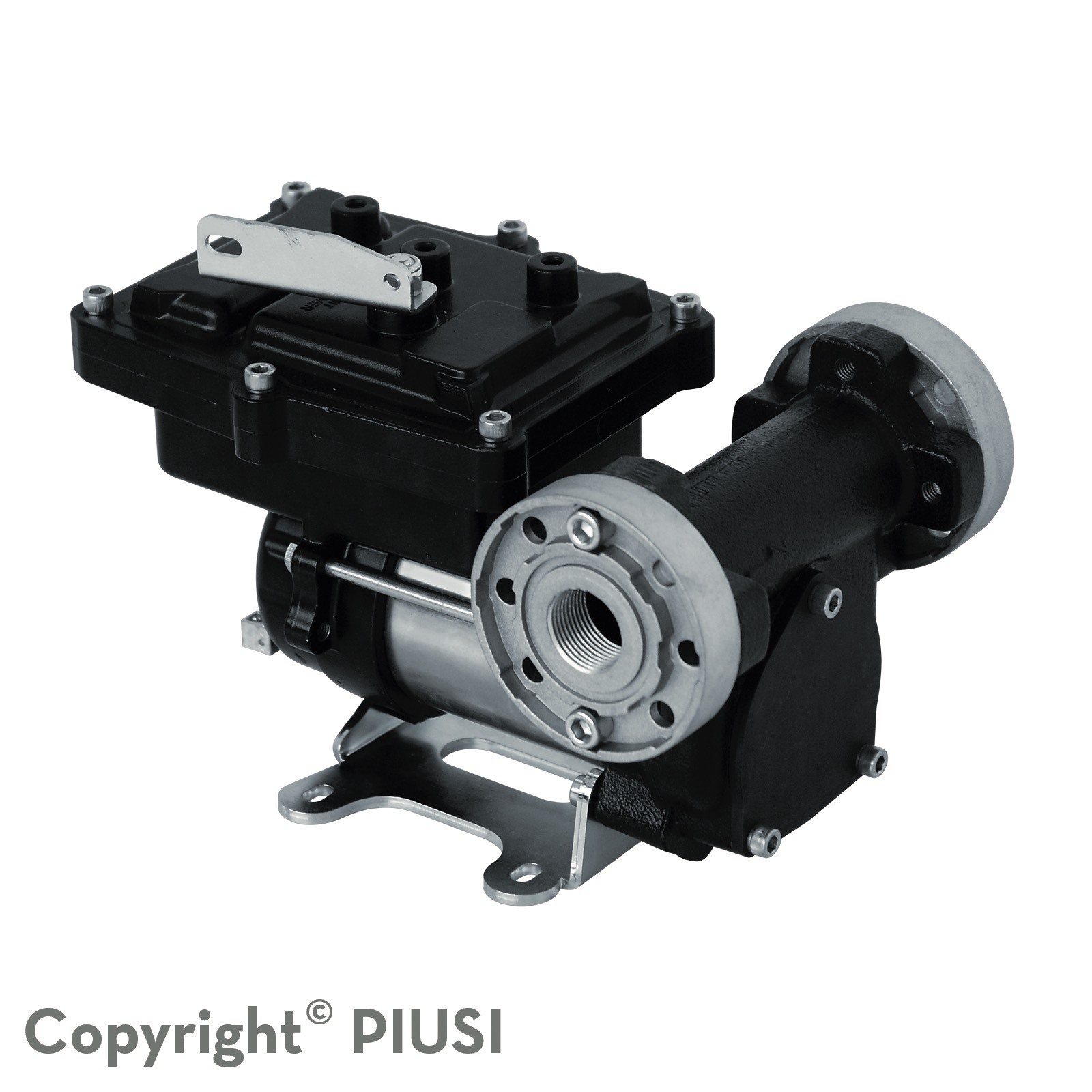 Bomba 12 V 50 L/min para nafta - EX50 PIUSI - imagen principal