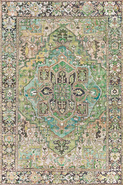 Albion Oriental Area Rug in Black/Green/Ivory