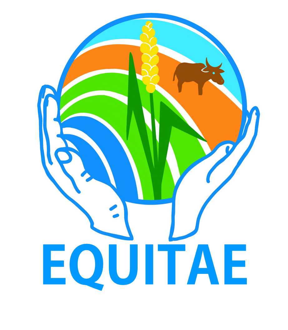 Rapport final projet EQUITAE