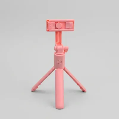SELFIE STICK