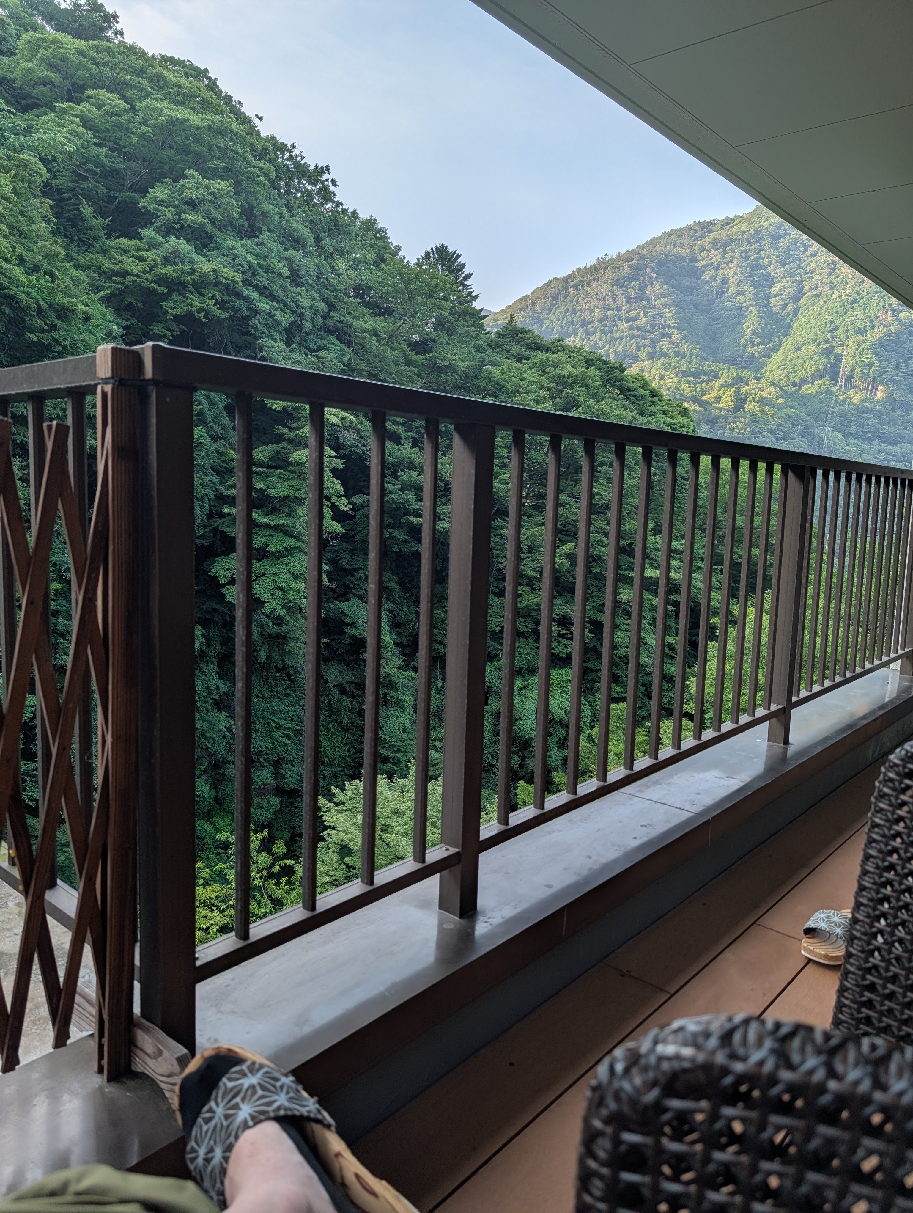 Onsen and Offsen in Hakone