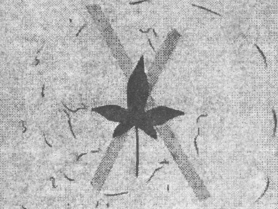 Невероятно длинное воскресенье, которое длится примерно с 1966-го. А теперь уже 1976-й.