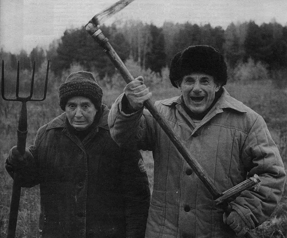 В поисках критической позиции