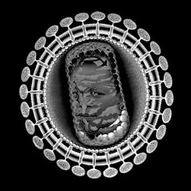 Черчилль Мадикида. «Вирус V», фотопечать, 2005
