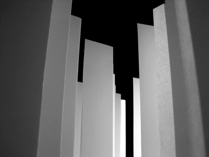 Станислав Шурипа. «Uni A1», инсталляция, бумага А1, 2008