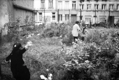 Лара Альмарсеги. «Открыть пустырь», Брюссель, 2000