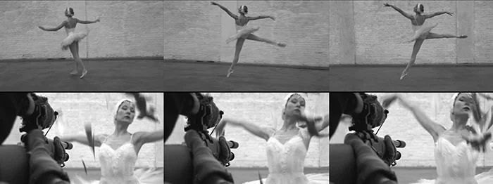 Елена Ковылина. «Вымирающие лебеди», видео, 2008