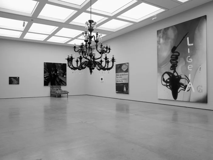Выставка «Ты вырыл туннель, а я припрячу землю» в галерее White Cube, вид экспозиции, Лондон, 2008. Предоставлено White Cube. Фото Стефана Уайта