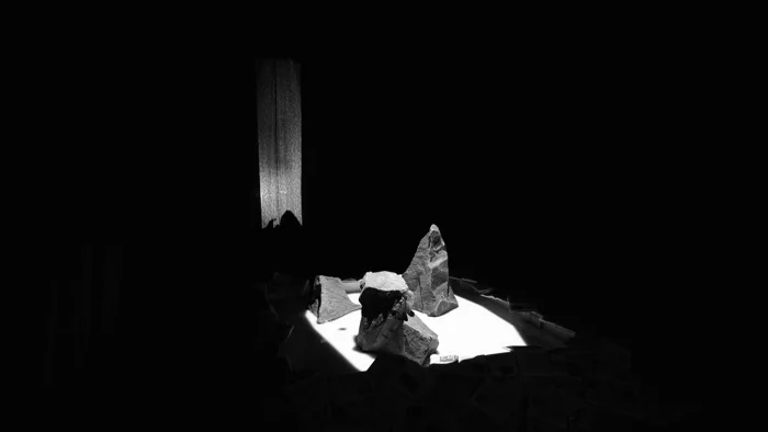 Сергей Огурцов. Исход. 2009. Камни, молоко, видеопроекции, книги