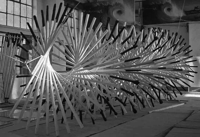 Вячеслав Усеинов. «Constanta», инсталляция, 2005