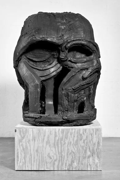 Томас Хасеаго. Head/Black Hill 1, 2010