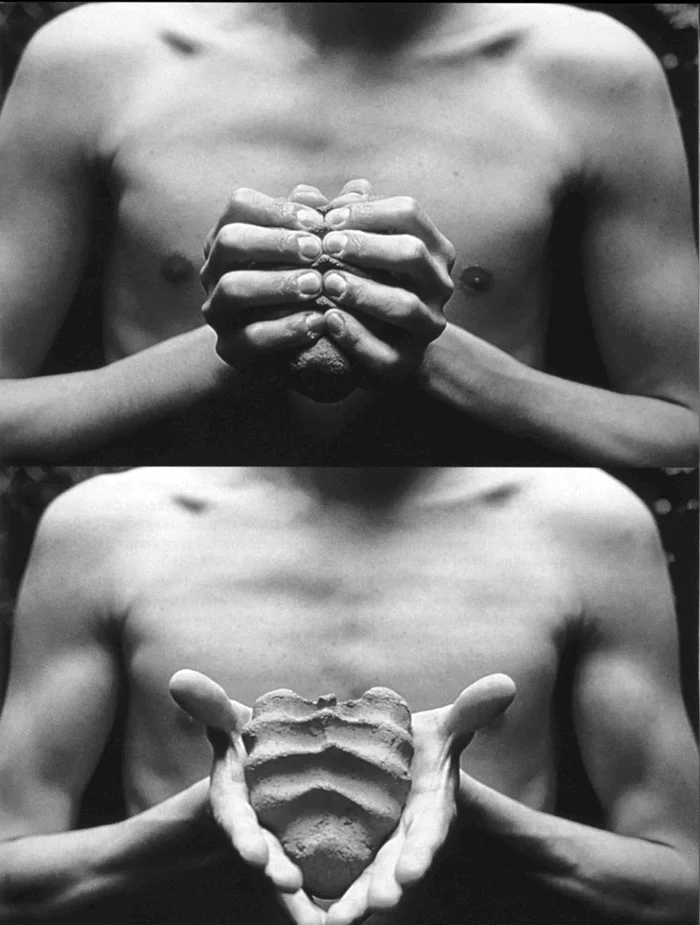 Габриэль Ороско. «Мои ладони – моё сердце», 1991