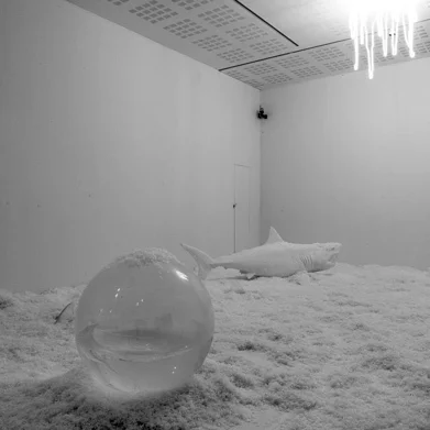 Кори Ньюкирк. Вид экспозиции, 2003