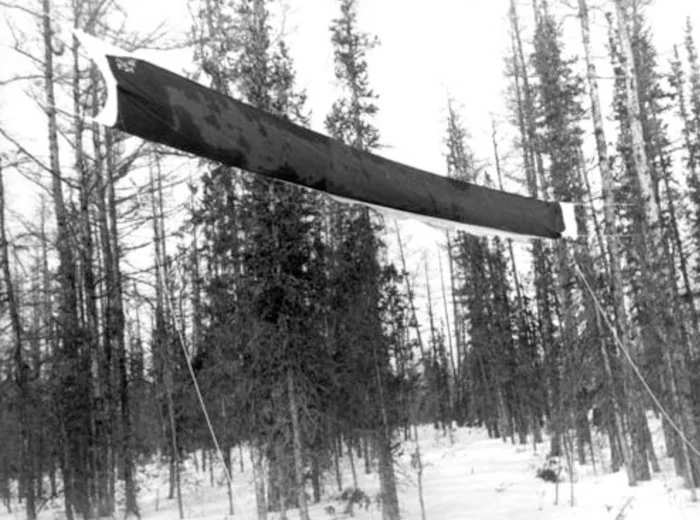 Группа «Коллективные действия». Лозунг. 1980. Акция